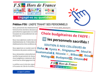 Article Pétition FSU : LAEFE trahit ses personnels